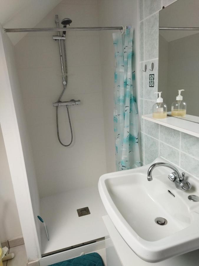 Le Petit Chez Nous Apartment Tregueux Bagian luar foto